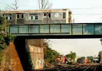 6-16-03pondBernieEnte.jpg (93281 bytes)